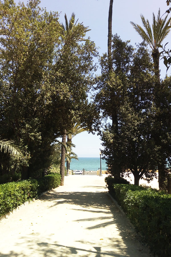 Palm park Alicante